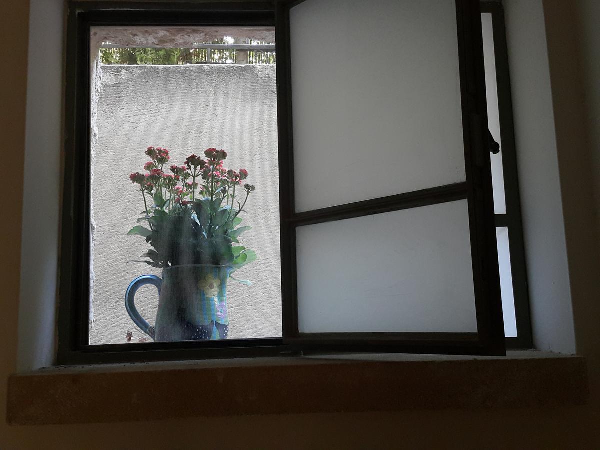 The House Of Taly & Erez Hotel Netaim Ngoại thất bức ảnh