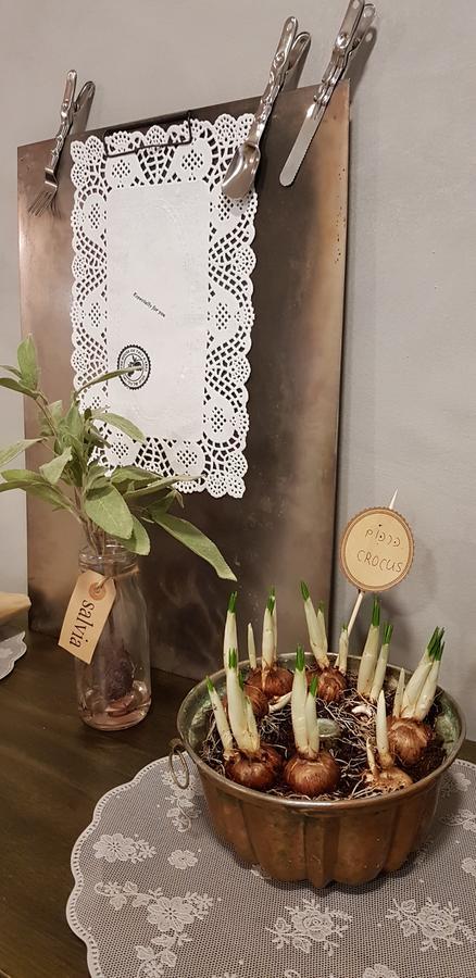 The House Of Taly & Erez Hotel Netaim Ngoại thất bức ảnh